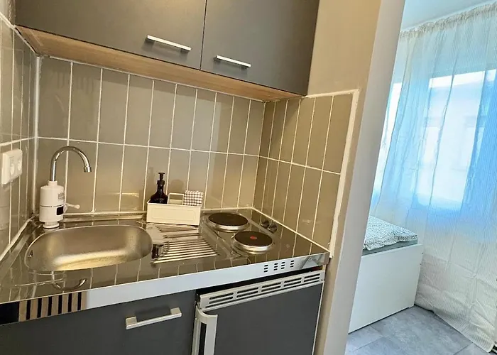 Modernes 1 Zimmerapartment 5 Fuer Monteure&handwerker Mit Wlan Ludwigshafen am Rhein